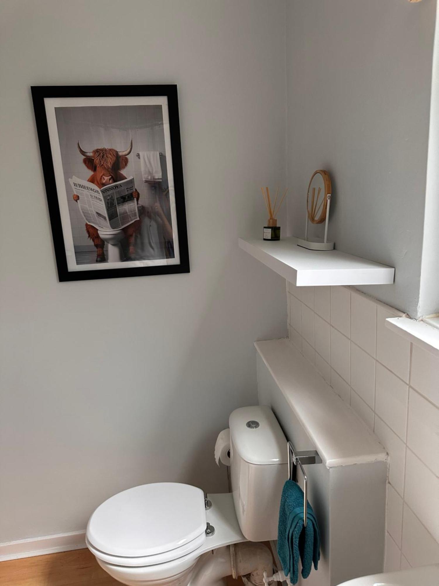 Castle Brae Apartment Στέρλινγκ Εξωτερικό φωτογραφία